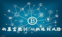 区块链投资的暴富教训：从机遇到风险