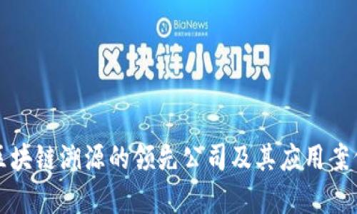 研究区块链溯源的领先公司及其应用案例分析