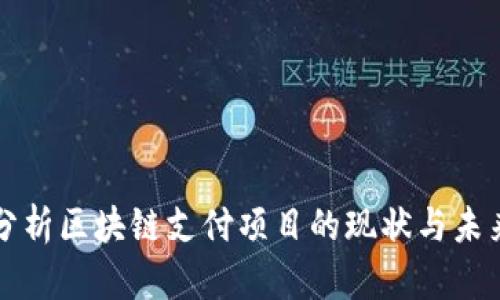 深入分析区块链支付项目的现状与未来发展