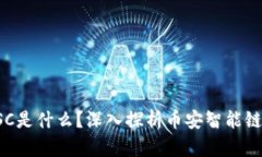 TP钱包中的BSC是什么？深入探析币安智