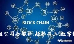 莆田区块链公司全解析：趁势而上，数