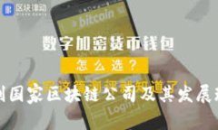 智利国家区块链公司及其发展现状