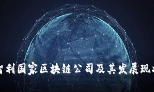 智利国家区块链公司及其发展现状
