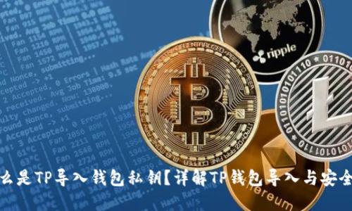 什么是TP导入钱包私钥?详解TP钱包导入与安全性