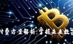 区块链知识付费方案解析：掌握未来数