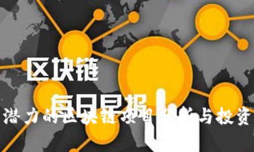 最具潜力的区块链项目分析与投资指南