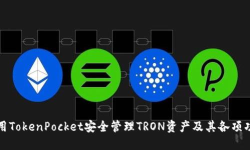 如何使用TokenPocket安全管理TRON资产及其各项功能详解