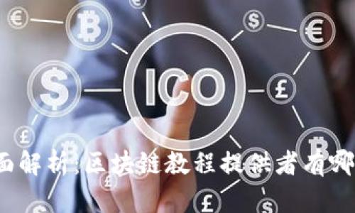 全面解析:区块链教程提供者有哪些?