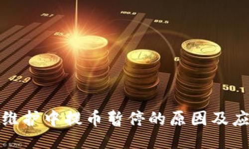 TP钱包维护中提币暂停的原因及应对策略