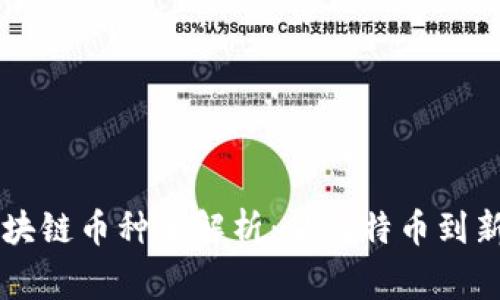 常见区块链币种全解析:从比特币到新兴代币