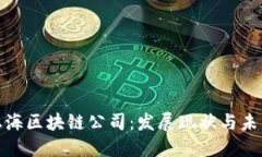 探索上海区块链公司：发展现状与未来