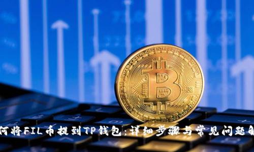 如何将FIL币提到TP钱包:详细步骤与常见问题解析