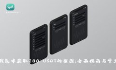 如何在TP钱包中获取100 USDT的截图：全