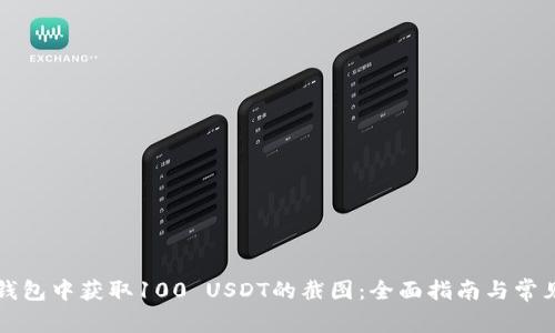 如何在TP钱包中获取100 USDT的截图：全面指南与常见问题解答