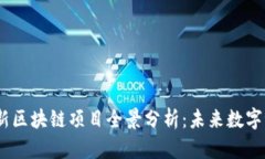 2023年最新区块链项目全景分析：未来