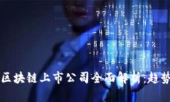 2023年北京区块链上市公司全面解析：
