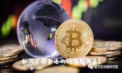 如何选择合适的TP钱包体系?