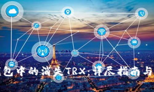 如何找回TP钱包中的消失TRX:详尽指南与常见问题解答