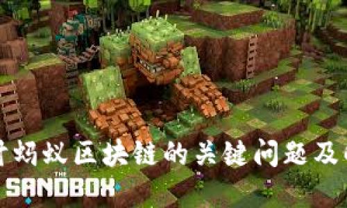深入探讨蚂蚁区块链的关键问题及解决方案