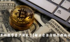 TP钱包里的数字资产消失了？解决方法