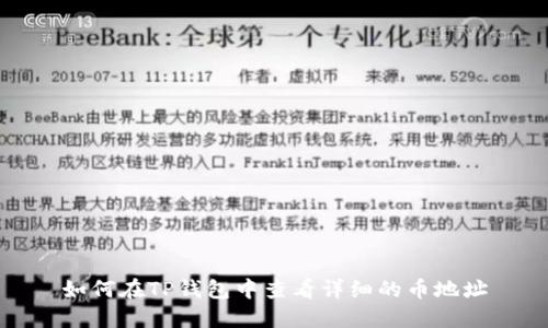 如何在TP钱包中查看详细的币地址
