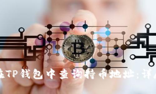 如何在TP钱包中查询持币地址:详尽指南
