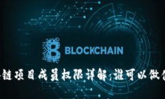 区块链项目成员权限详解：谁可以做什