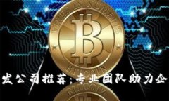  深圳区块链开发公司推荐：专业团队