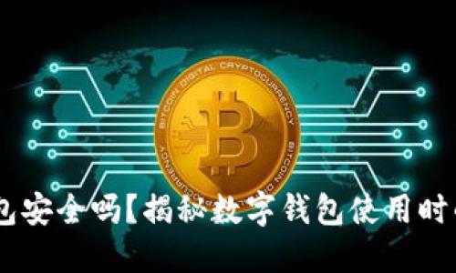 探讨:钱放TP钱包安全吗?揭秘数字钱包使用时的安全性与风险