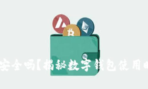 探讨:钱放TP钱包安全吗?揭秘数字钱包使用时的安全性与风险