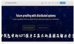 TP钱包中的NFT图片不显示的原因及解决