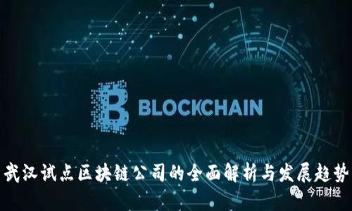 武汉试点区块链公司的全面解析与发展趋势