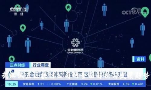 武汉试点区块链公司的全面解析与发展趋势