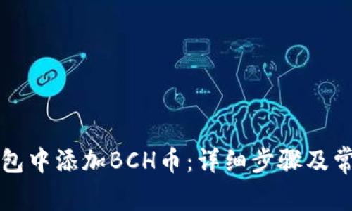 如何在TP钱包中添加BCH币:详细步骤及常见问题解答