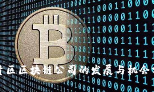 奉贤区区块链公司的发展与机会分析