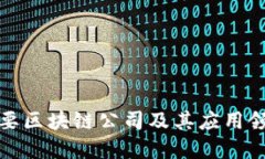全球主要区块链公司及其应用领域详解