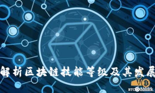 全面解析区块链技能等级及其发展路径