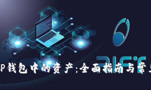 如何查看TP钱包中的资产:全面指南与常见问题解答