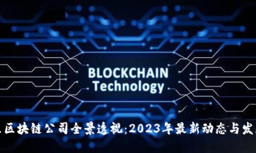 蔡甸区区块链公司全景透视:2023年最新动态与发展趋势