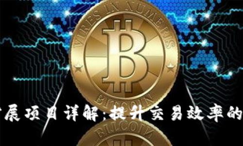 区块链二层扩展项目详解:提升交易效率的创新解决方案