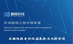 区块链技术的潜在危险与风险分析