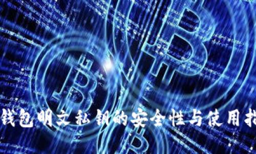 TP钱包明文私钥的安全性与使用指南