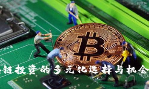 区块链投资的多元化选择与机会分析