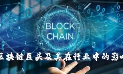 深圳区块链巨头及其在行业中的影响解析