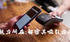 区块链的魅力所在：解密其吸引力的多