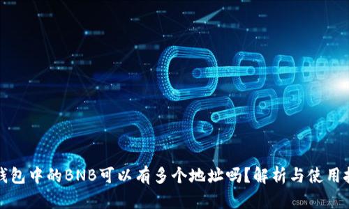TP钱包中的BNB可以有多个地址吗？解析与使用技巧