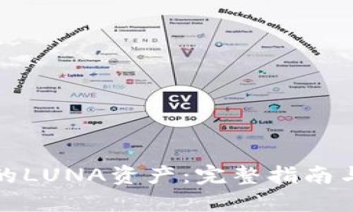 TP钱包中的LUNA资产：完整指南与使用技巧