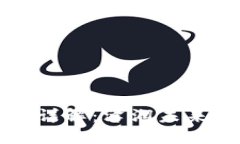 区块链绿洲项目详解：泽