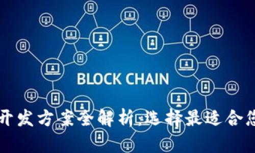 区块链系统开发方案全解析：选择最适合您的业务需求