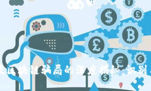 新加坡区块链骗局的深度揭秘：识别与防范